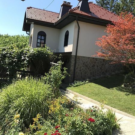 Wine & Nature & Tour Zgornji Leskovec Exterior photo