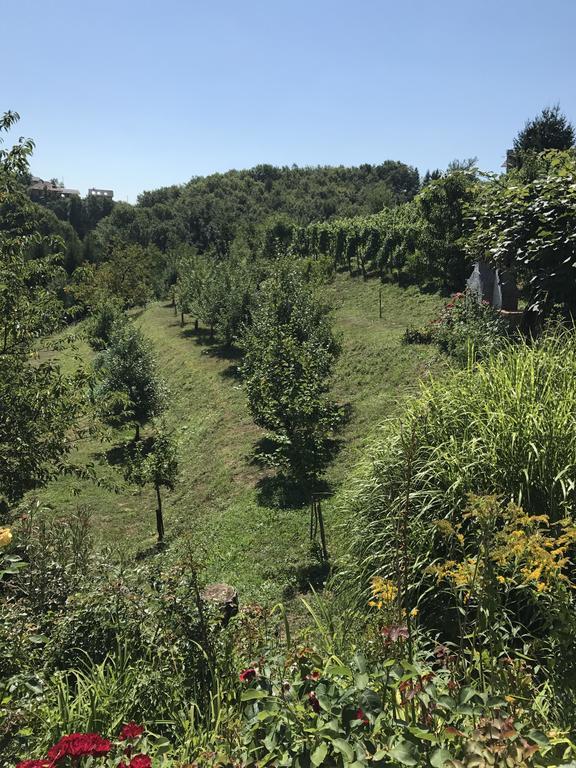 Wine & Nature & Tour Zgornji Leskovec Exterior photo